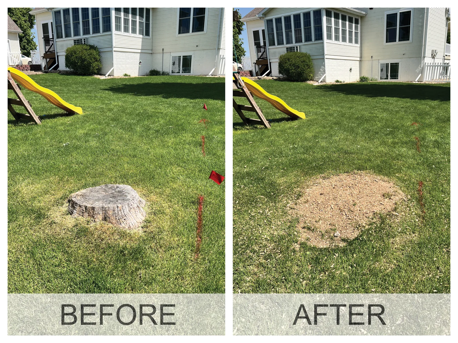 Before and after a stump grinding job: the stump, then level ground with the wood chips raked out